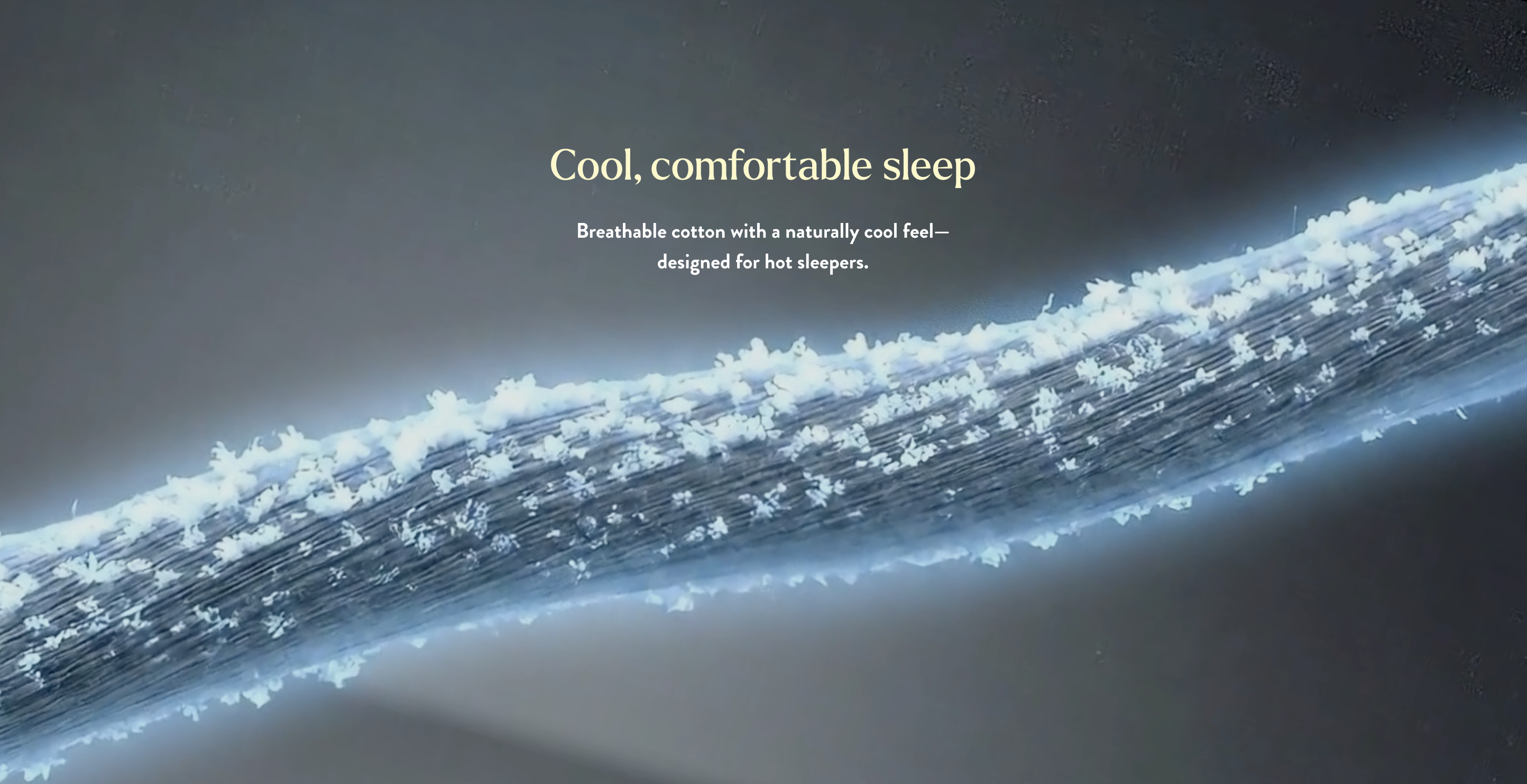 Miracle Made - Sheets